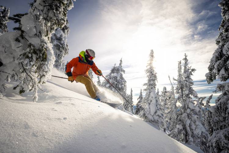 person skiing through snowy trees